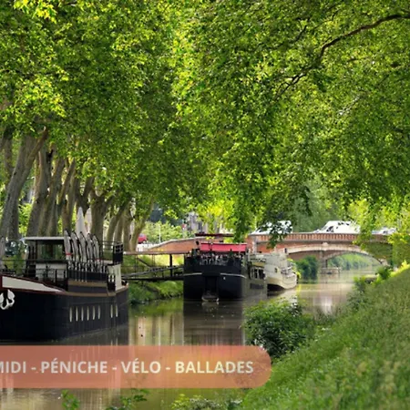 アパート T3 Atelier D'Artiste - 115M2 Au Coeur De Toulouse - Calme - Jardin - Parking 3 Min